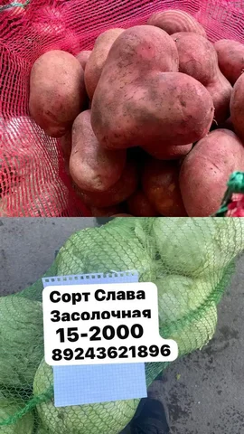 Продажа деревенских овощей и мяса в Якутске - Барахолка в Якутск