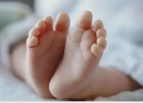 Статистика рождаемости в Якутии за год