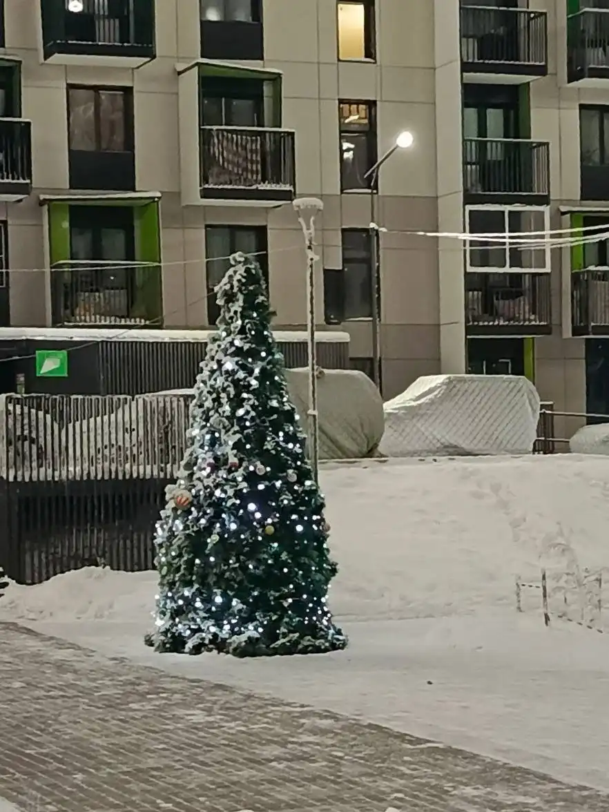 Продажа ёлочки в звёздном микрорайоне