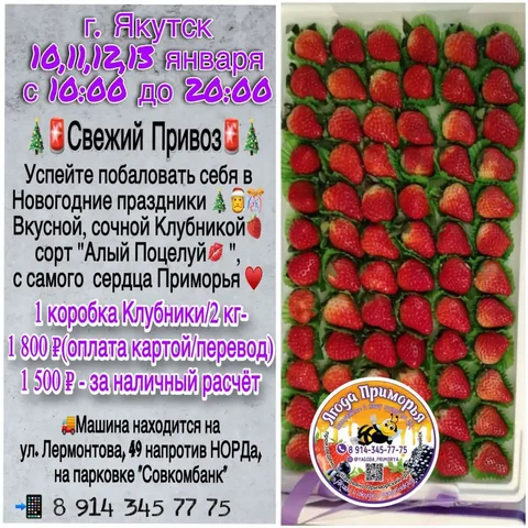 Продажа свежей клубники сорта «Алый Поцелуй» в Якутске - Барахолка в Якутск