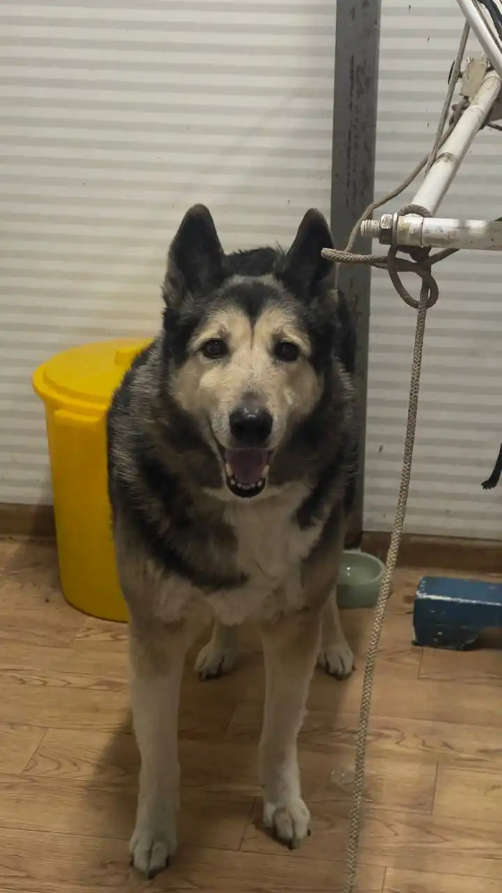 Продажа автомобиля в Якутске - Авто в Якутск