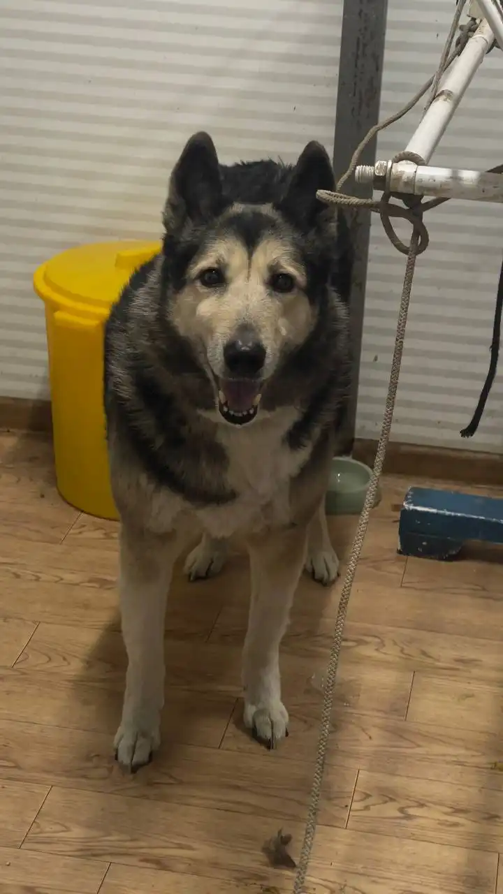 Продажа автомобиля в Якутске - Авто в Якутск