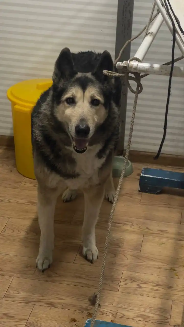 Продажа автомобиля в Якутске - Авто в Якутск