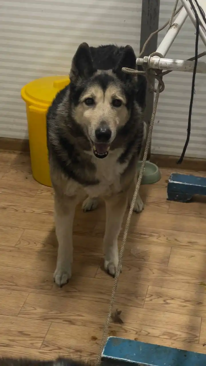 Продажа автомобиля в Якутске - Авто в Якутск