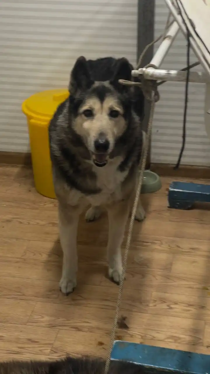 Продажа автомобиля в Якутске - Авто в Якутск