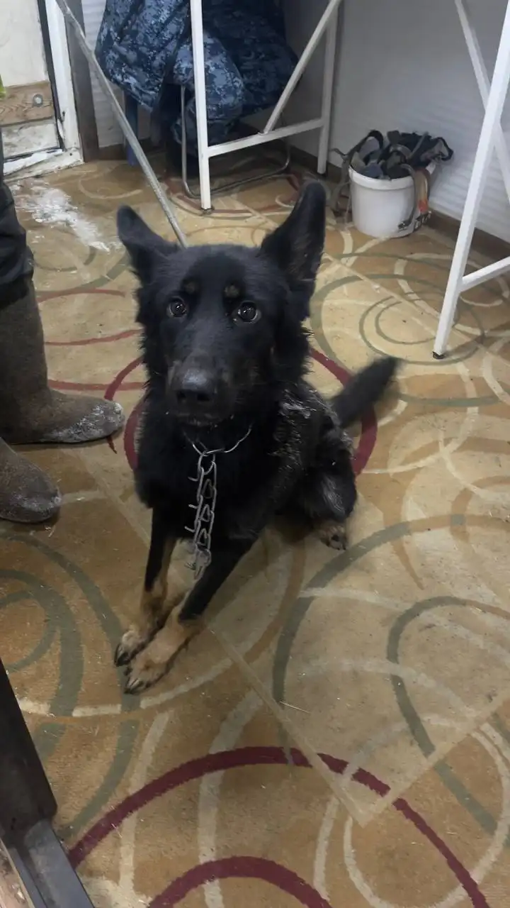 Продажа автомобиля в Автодорожном округе Якутска - Легковые автомобили (Авто) в Якутск