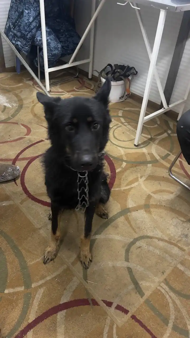 Продажа автомобиля в Автодорожном округе Якутска - Легковые автомобили (Авто) в Якутск