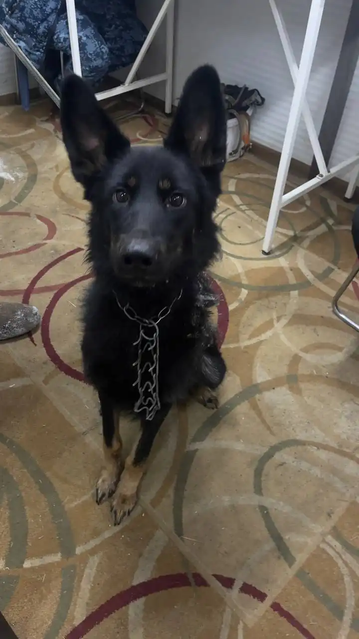 Продажа автомобиля в Автодорожном округе Якутска - Легковые автомобили (Авто) в Якутск