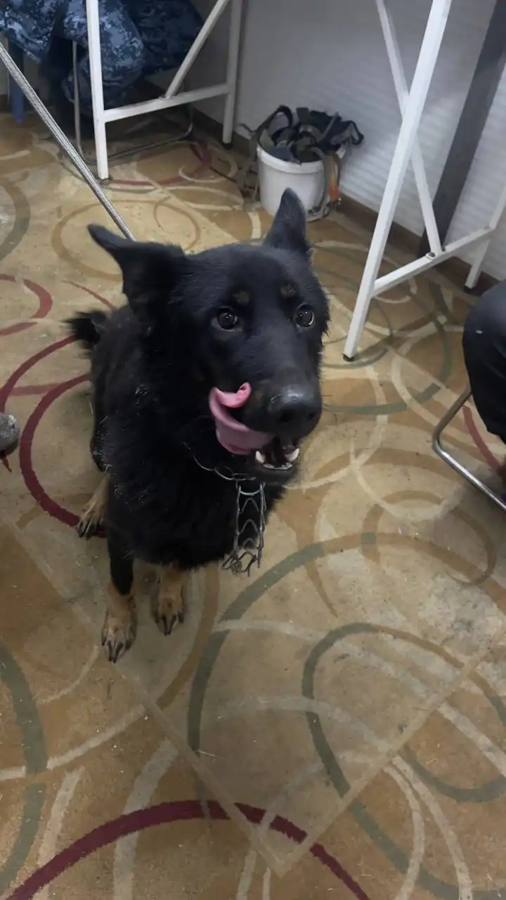 Продажа автомобиля в Автодорожном округе Якутска - Легковые автомобили (Авто) в Якутск