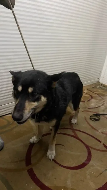 Продажа автодорожного округа - Авто в Якутск