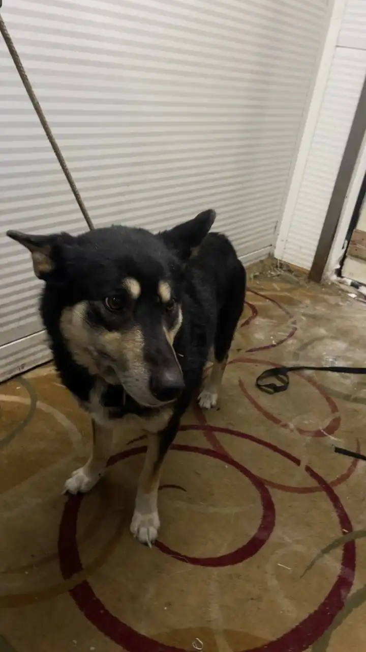 Продажа автодорожного округа - Автодорожные округа (Авто) в Якутск