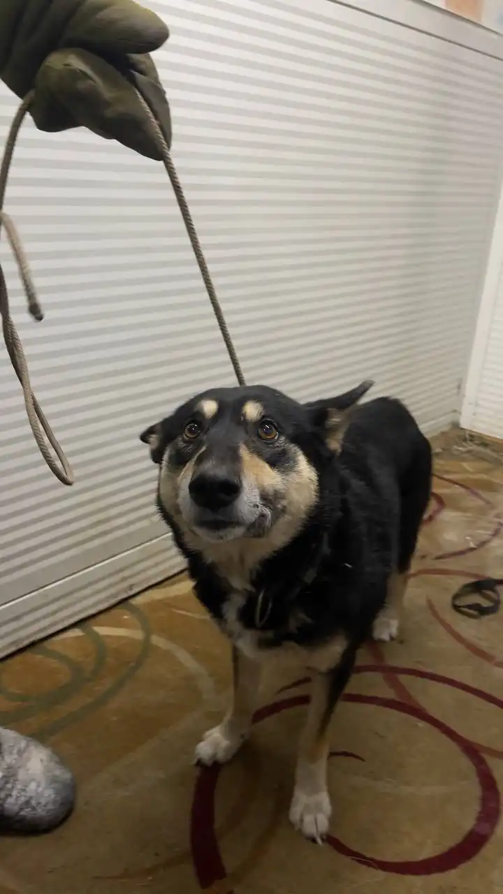 Продажа автодорожного округа - Автодорожные округа (Авто) в Якутск