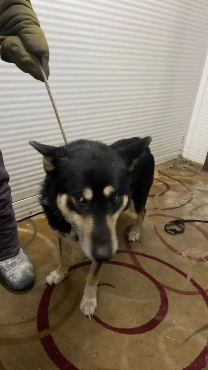 Продажа автодорожного округа - Автодорожные округа (Авто) в Якутск