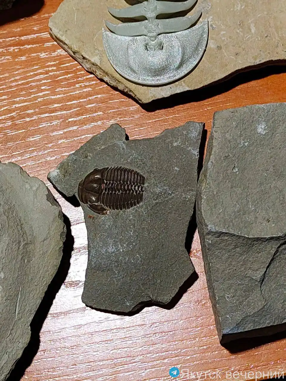 Фестиваль туризма в Историческом парке «Россия - Моя история» - Фестиваль/Мероприятие (Хобби и отдых) в Якутск