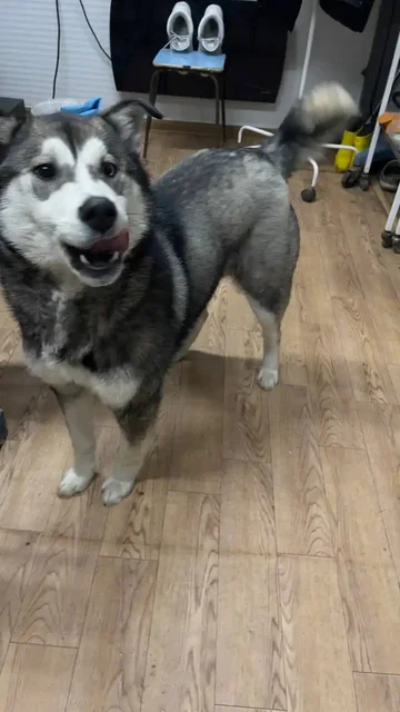 Продажа автомобиля Kia K5 в Якутске - Авто в Якутск