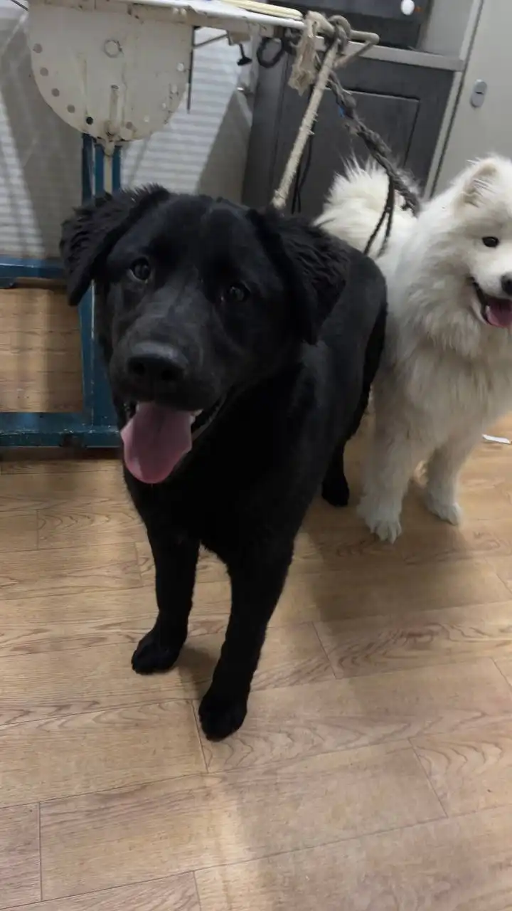 Продажа автомобиля в Сайсарском округе Якутска - Авто в Якутск