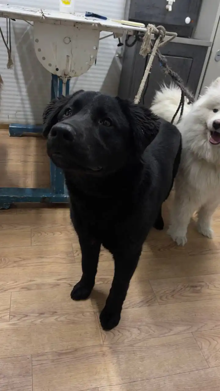 Продажа автомобиля в Сайсарском округе Якутска - Авто в Якутск