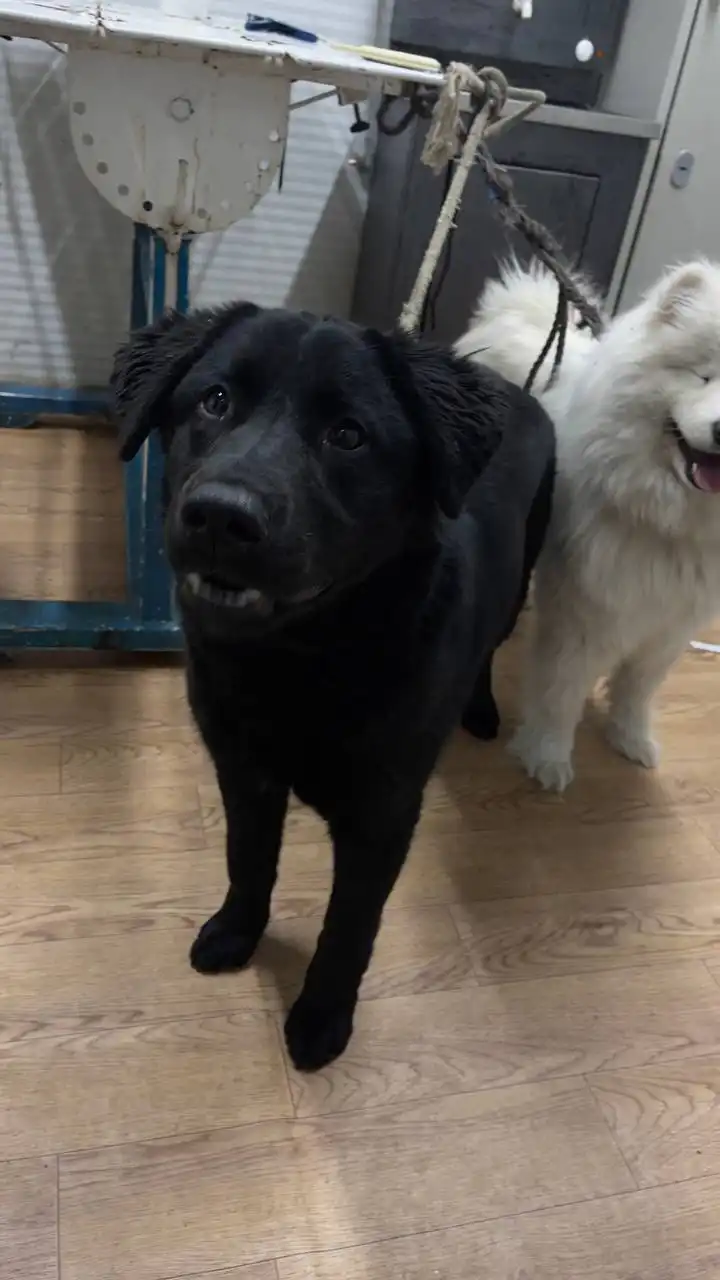 Продажа автомобиля в Сайсарском округе Якутска - Авто в Якутск