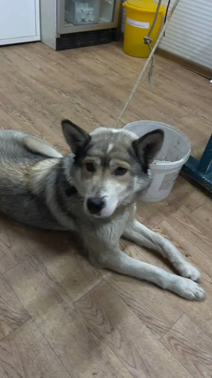 Автодорожный округ Якутск - Авто в Якутск