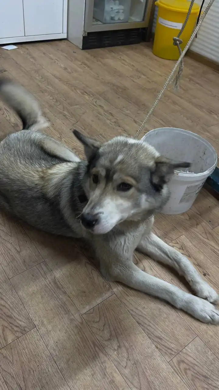 Автодорожный округ Якутск - Авто в Якутск