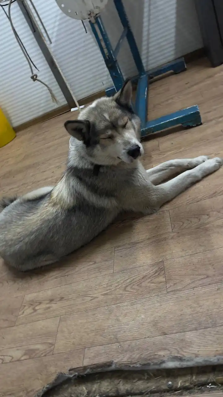 Автодорожный округ Якутск - Авто в Якутск