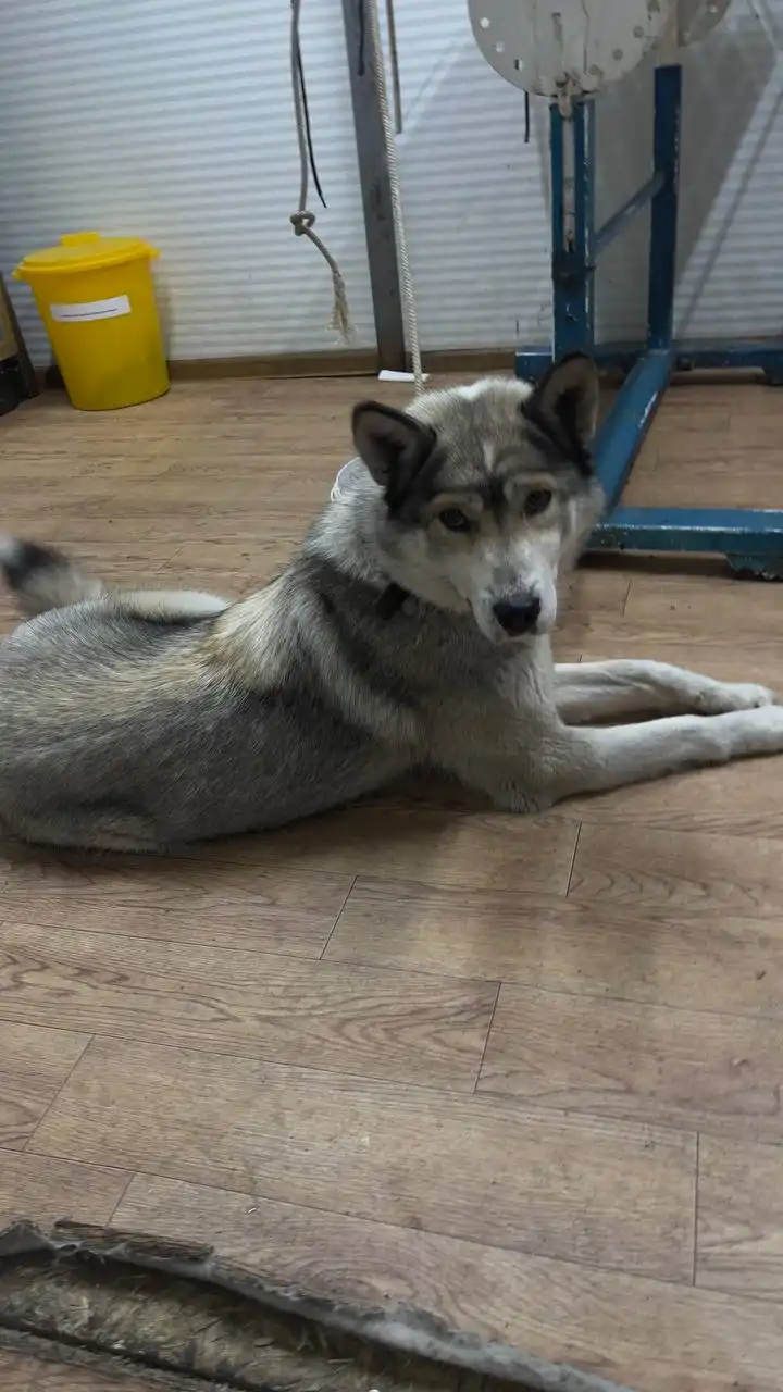 Автодорожный округ Якутск - Авто в Якутск