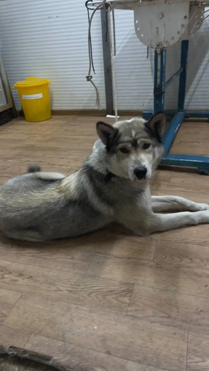 Автодорожный округ Якутск - Авто в Якутск