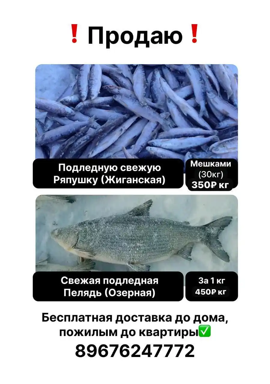 Продажа свежей подледной рыбы в Якутске - Барахолка в Якутск