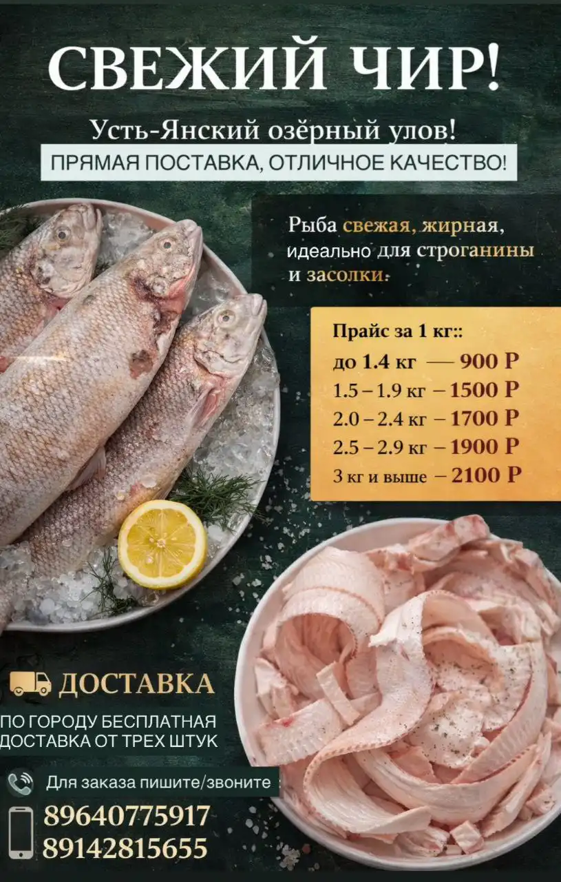 Свежий чир из Усть-Янского озера - Продукты питания (Барахолка) в Якутск