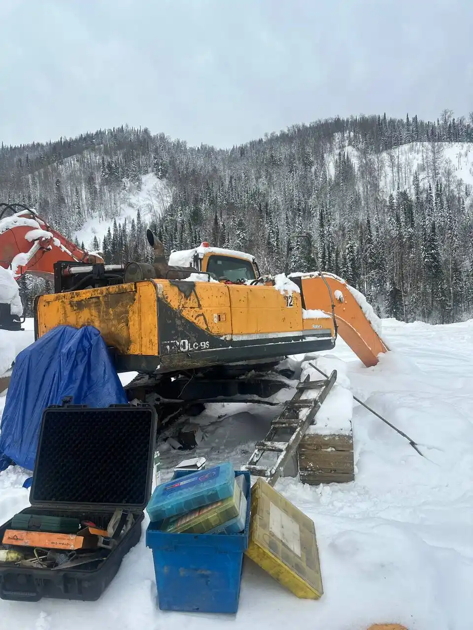 И драконы - частное объявление в Красноярск