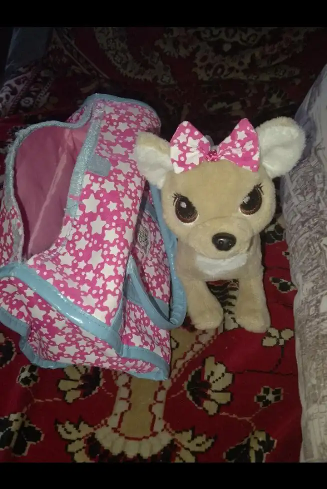 Собачка в сумке в хорошем состоянии