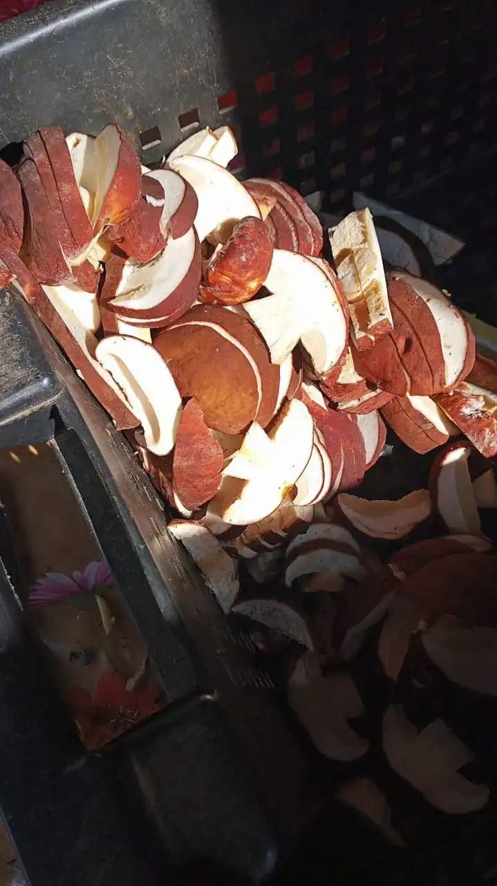 Гриб белый маринованный к новогоднему столу