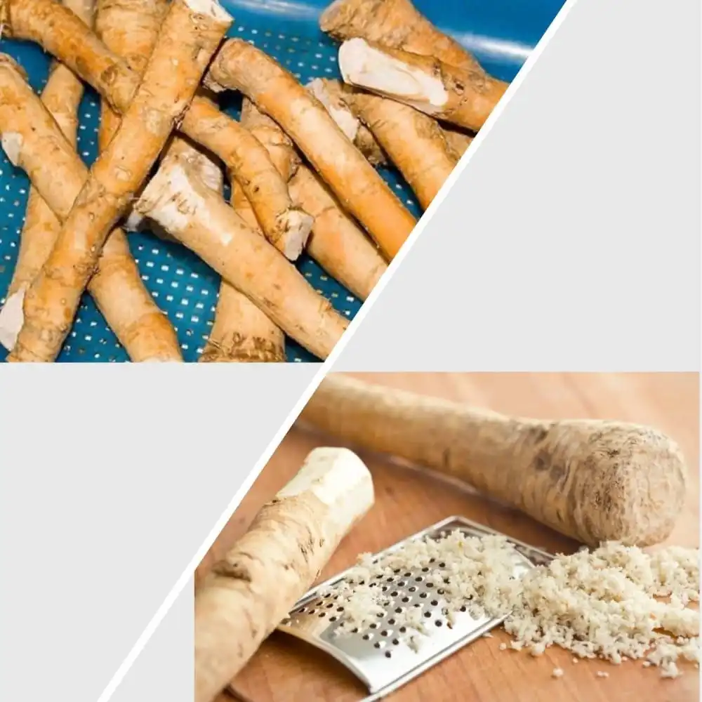 Продажа хрена ядрёного свежего