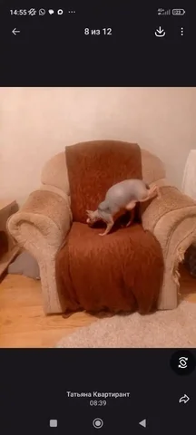 Кресло под укрытие пледом для дачи и террасы - Аккаунты игровые в Томск