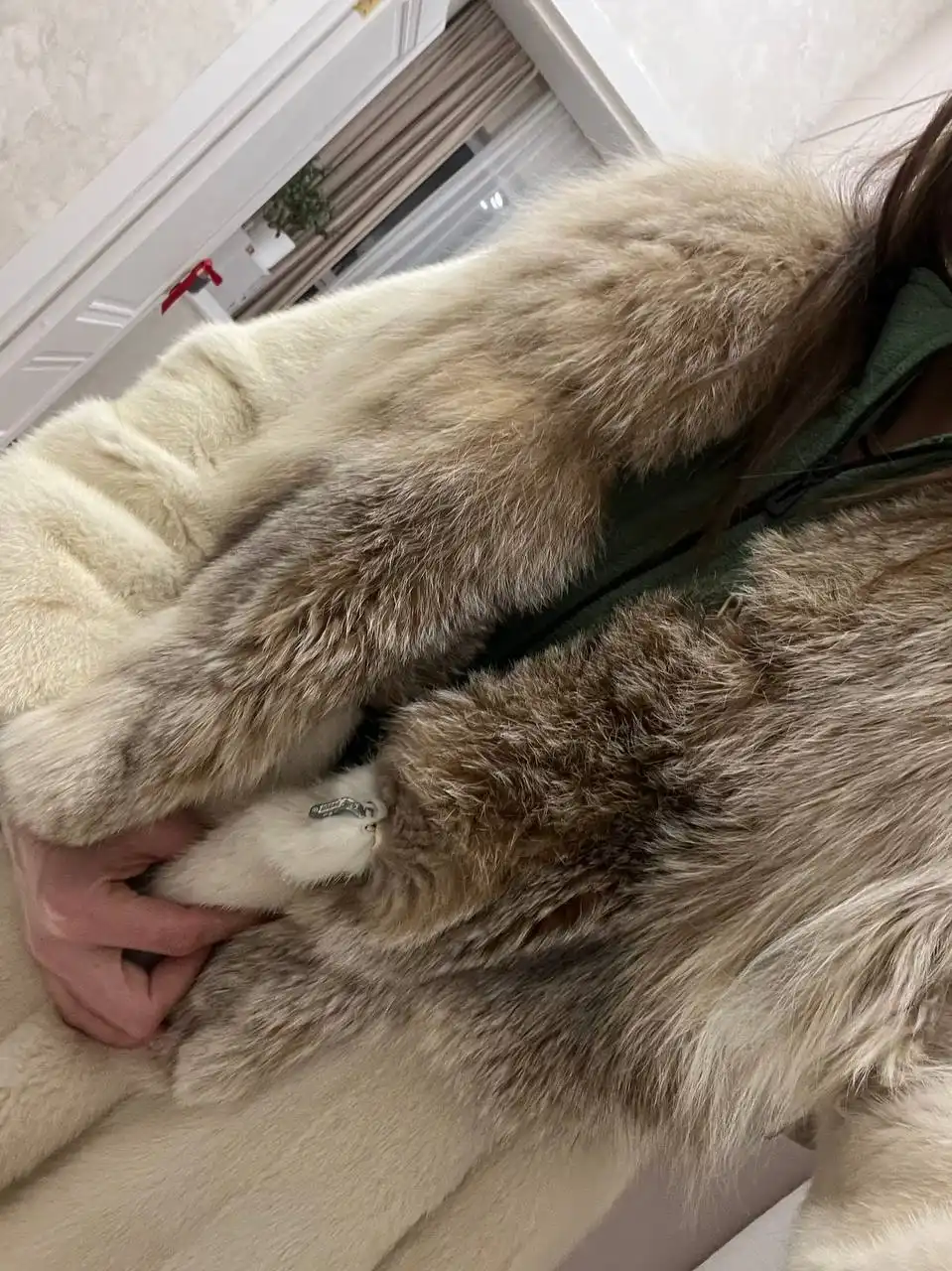 Шуба из меха норки с воротником из рыси - Верхняя одежда (Одежда) в Томск