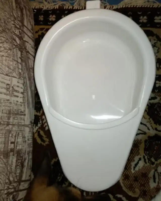 Подкладное судно новое - Медицинские товары (Барахолка) в Томск