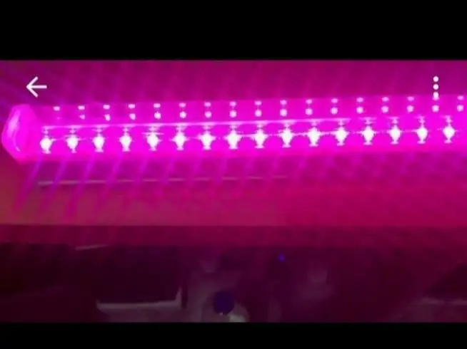 Фито лампа для рассады и аквариума - Садоводство/Аквариумистика (Хобби и отдых) в Томск