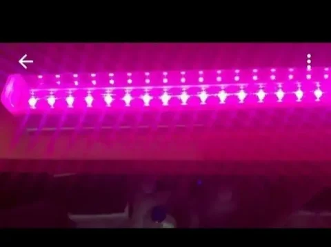 Фито лампа для рассады и аквариума - Хобби и отдых в Томск