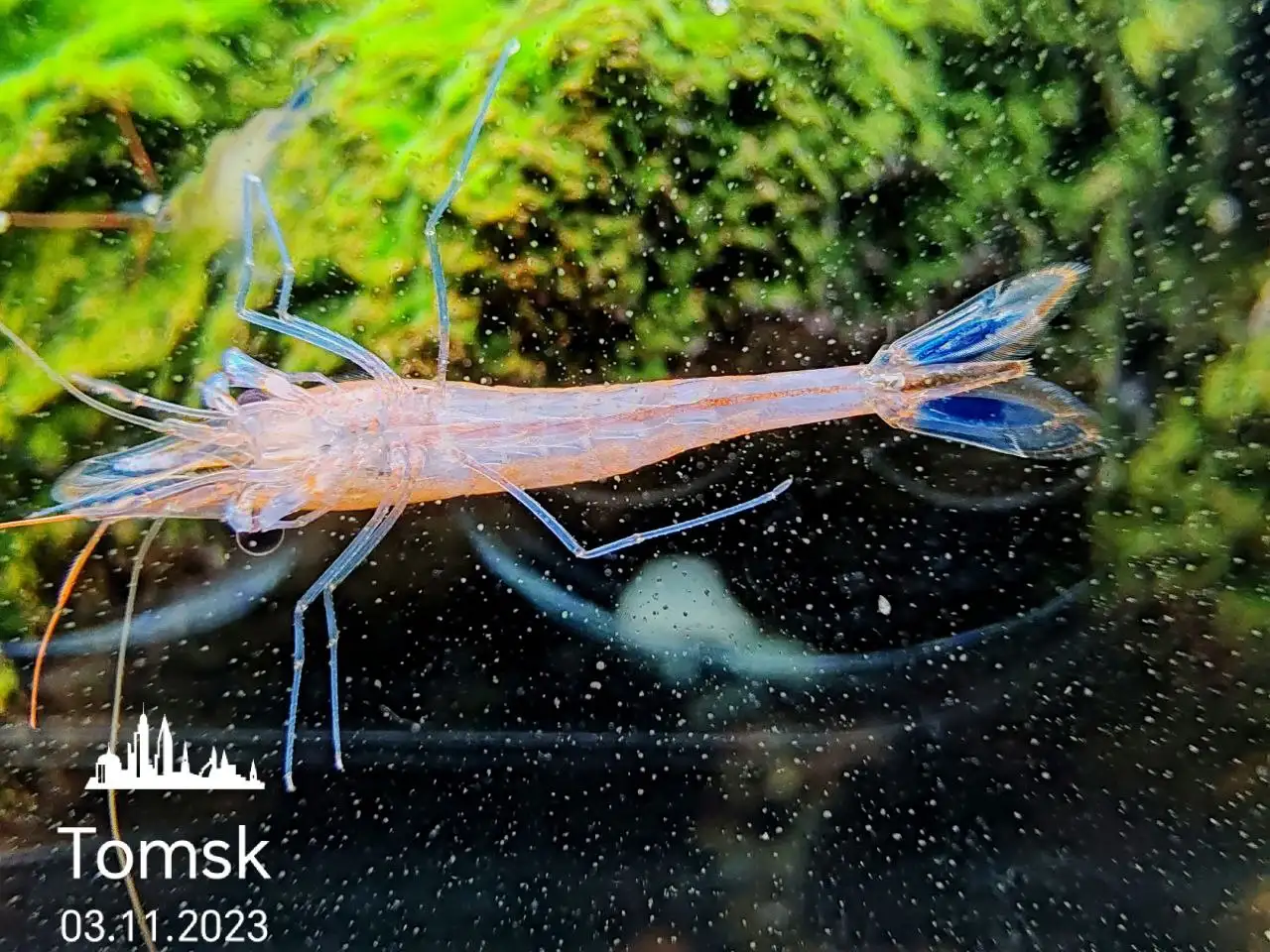 Продам товары из барахолки в Томске - Барахолка в Томск