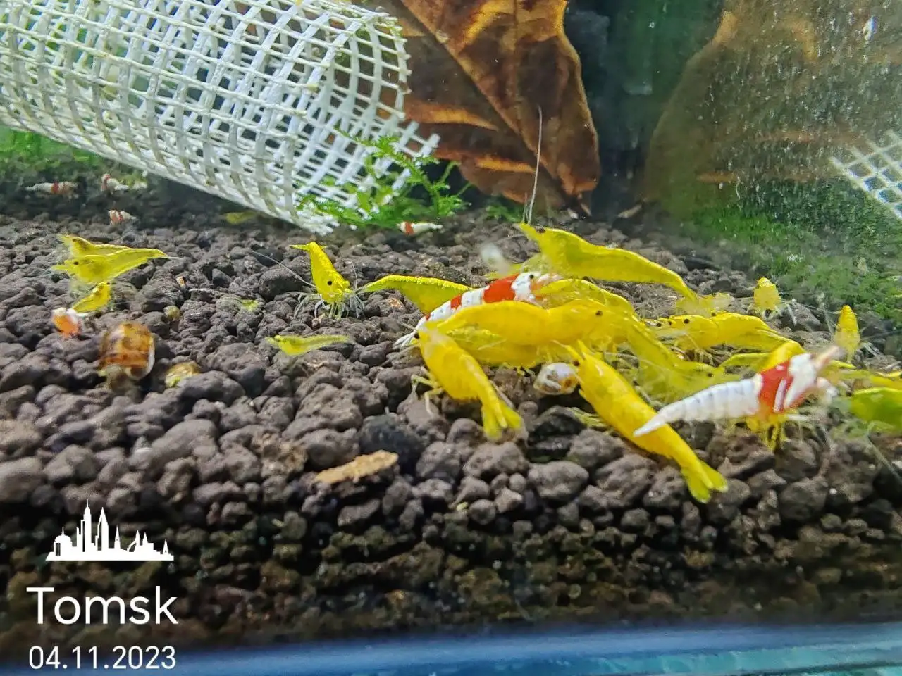 Продам товары из барахолки в Томске - Барахолка в Томск