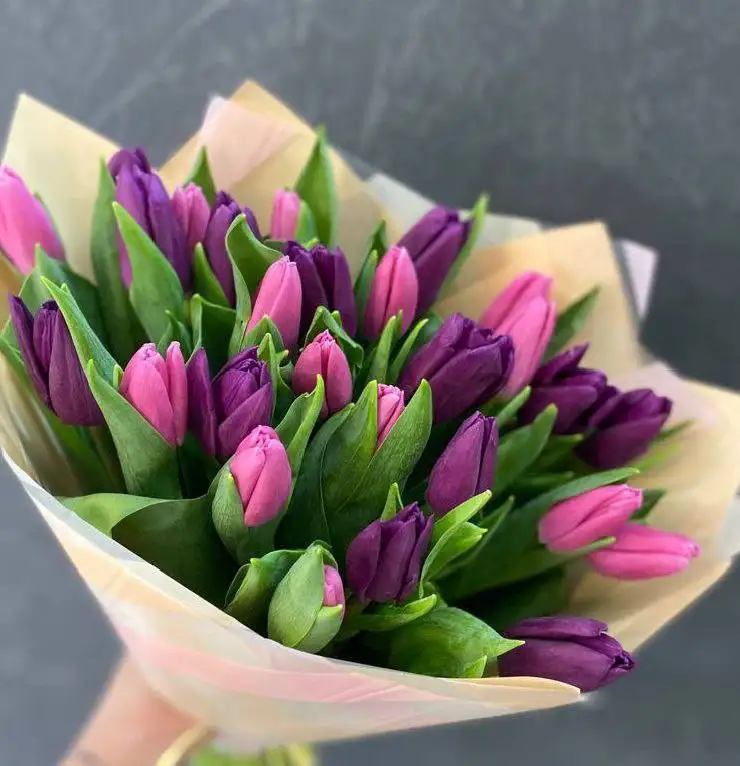 Тюльпаны к 8 марта - Барахолка в Томск