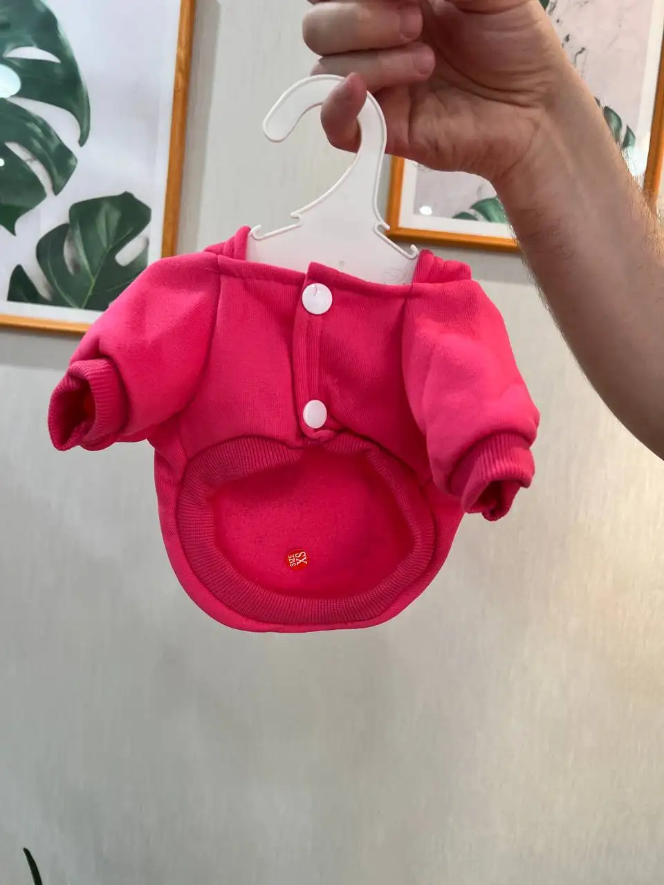 Утепленные курточки для котиков и мелких собачек - Одежда для животных (Животные) в Томск