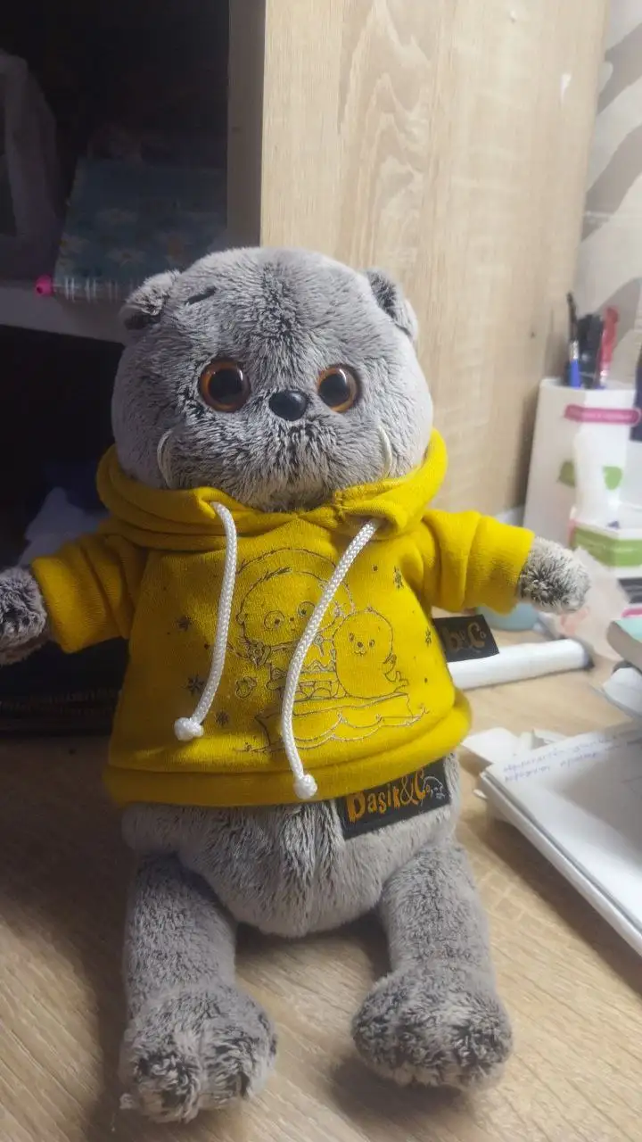 Продажа кота Басика - Животные (Барахолка) в Томск