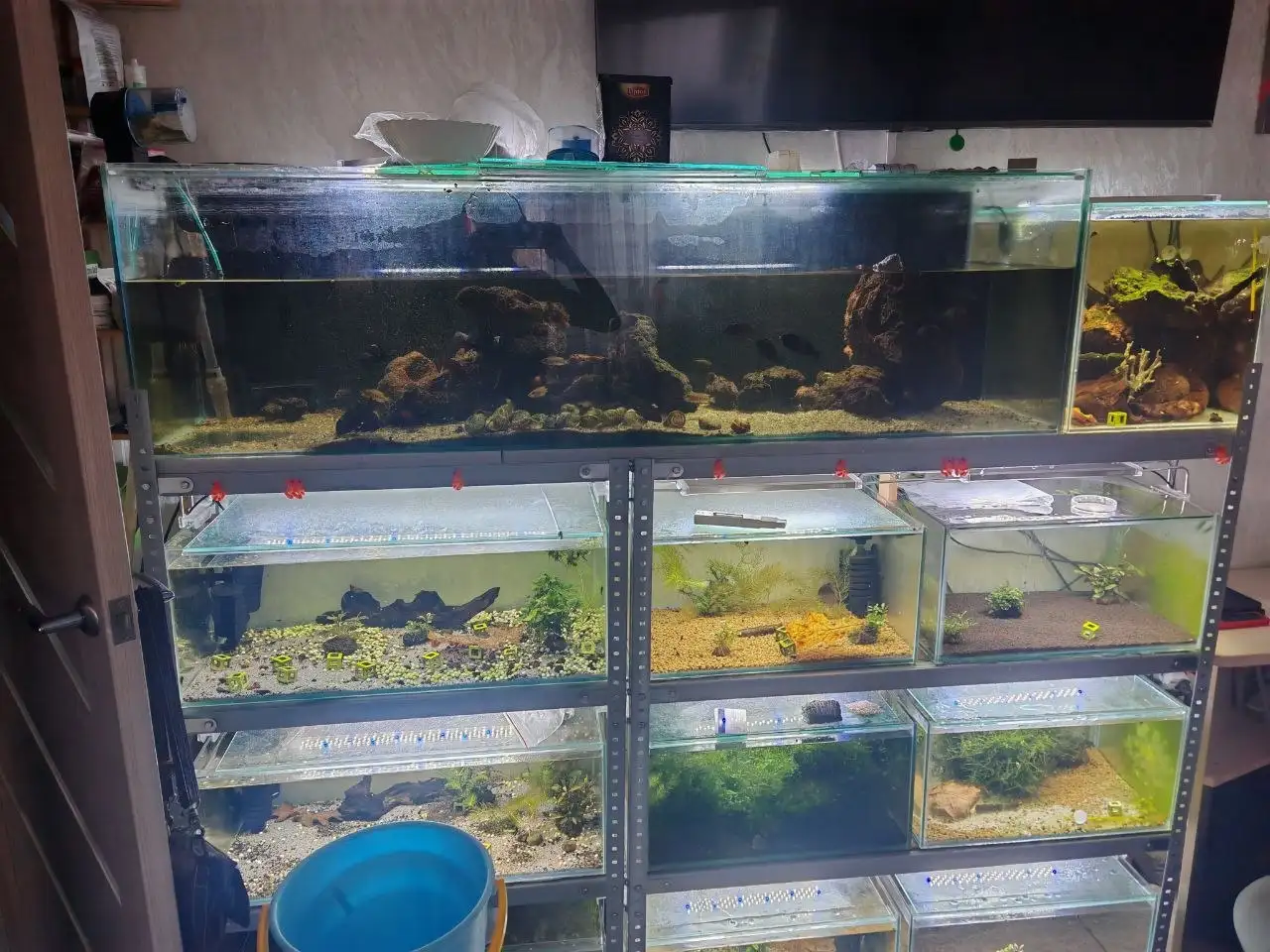Аквариум 200 литров с поврежденным стеклом - Аквариумистика (Хобби и отдых) в Томск