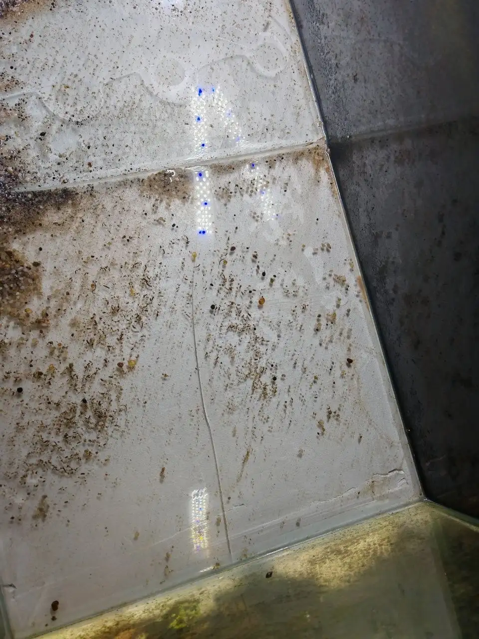 Аквариум 200 литров с поврежденным стеклом - Аквариумистика (Хобби и отдых) в Томск