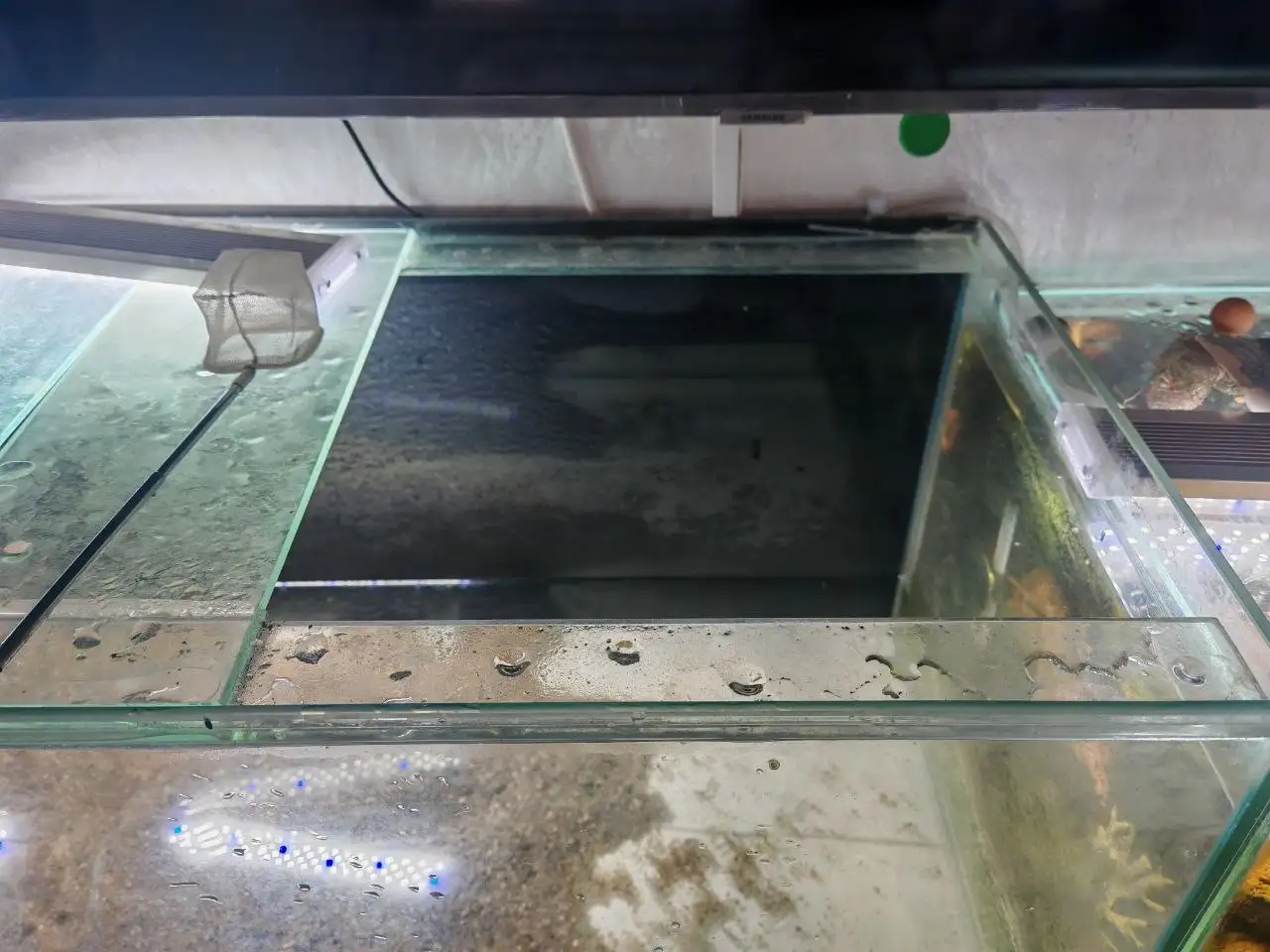 Аквариум 200 литров с поврежденным стеклом - Аквариумистика (Хобби и отдых) в Томск