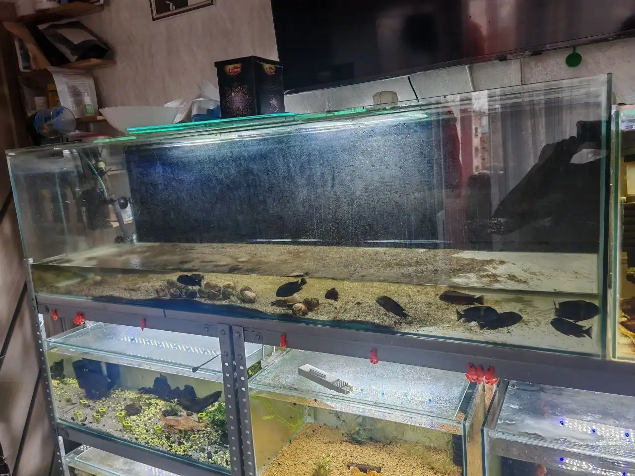 Продам аквариум на 200л с поврежденным углом дна - Барахолка в Томск