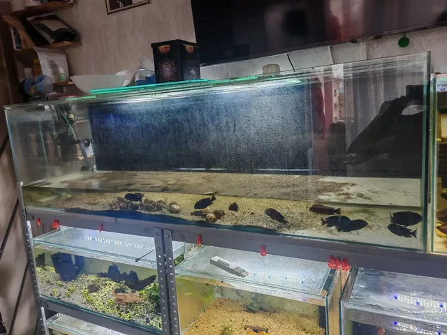 Продам аквариум на 200л с поврежденным углом дна - Посуда в Томск