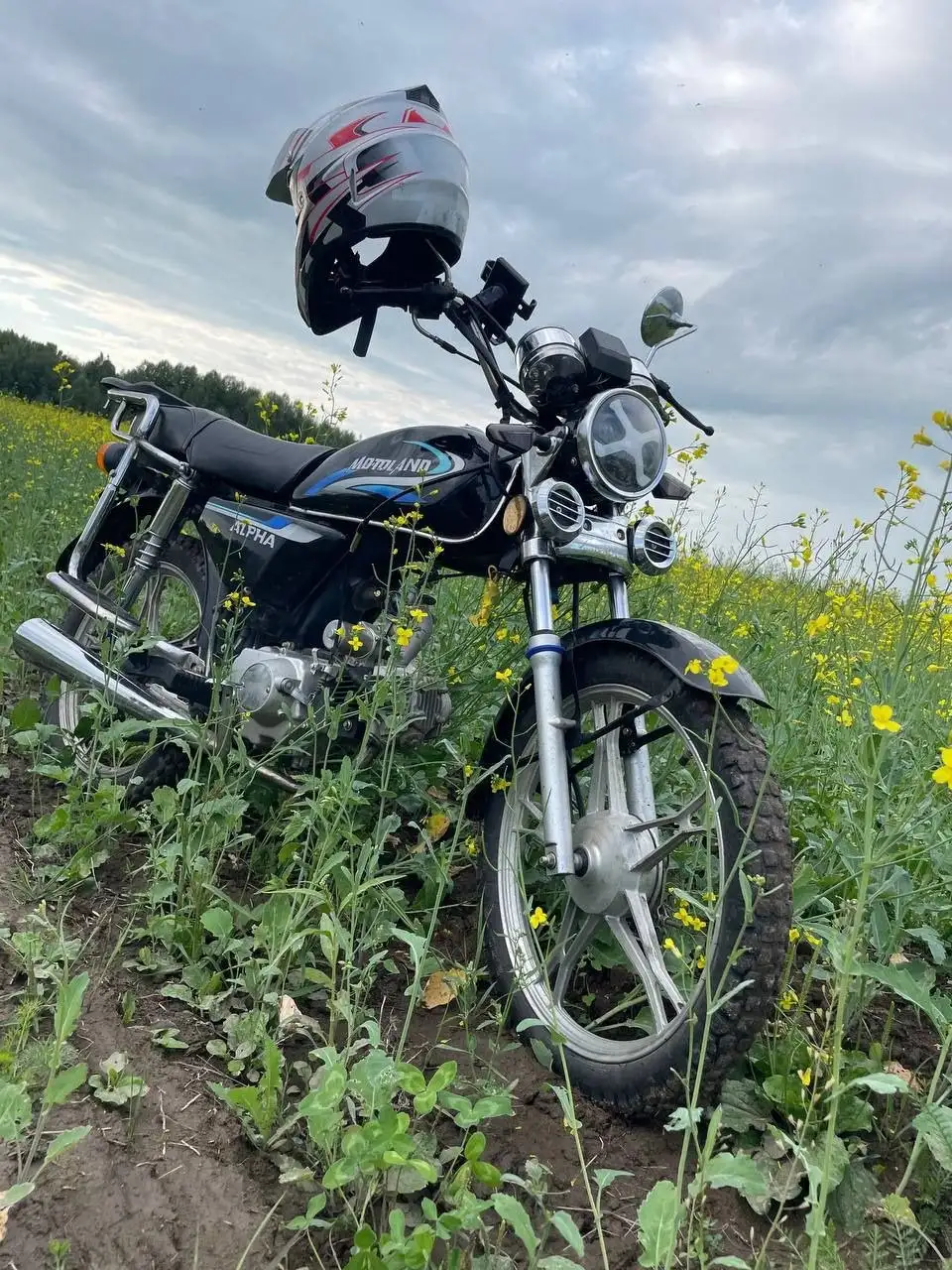 Продажа мопеда Motoland Alpha RX 11 - Мототехника (Барахолка) в Томск