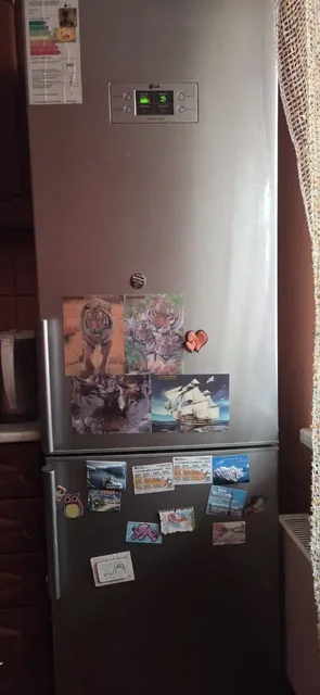 Холодильник отличный, всё работает - Растения в Томск